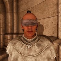 OBR-npc-Blind Moth Priest 14C9E4 02.jpg