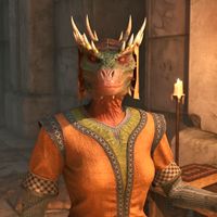 OBR-npc-Skaleel.jpg