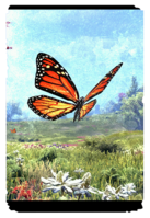 ON-card-Monarch Butterfly.png