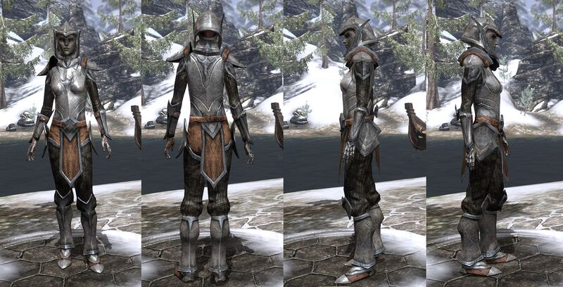 File:ON-item-armor-Dark Elf Heavy 2 Female.jpg