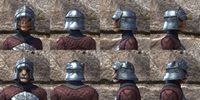 ON-item-armor-Silver Rose Medium Beast Races.jpg
