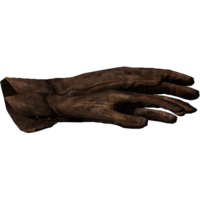 SR-icon-clothing-Gloves.png
