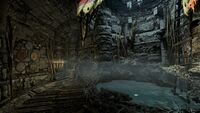 TH-interior-Windhelm Well Hideout.jpg