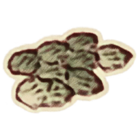OBR-icon-ingredient-Fish Scales.png