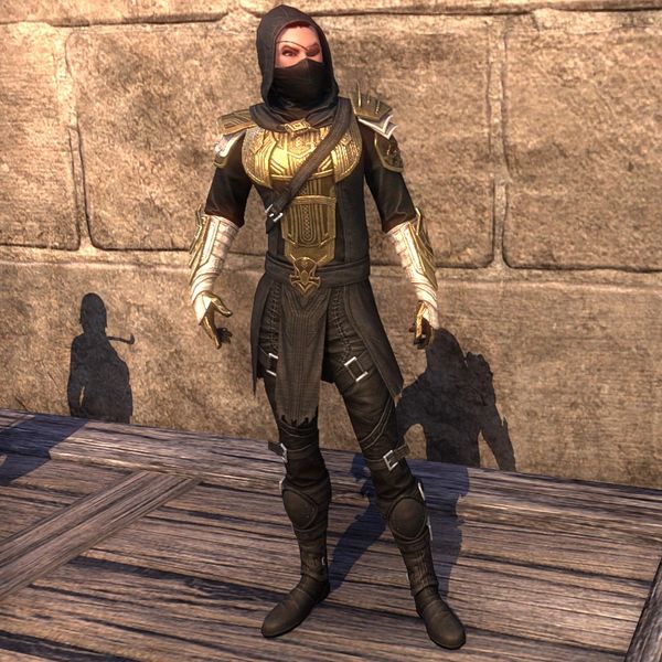 File:ON-costume-10-Year Anniversary Breton Hero (female).jpg