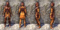 ON-item-armor-Anequina Heavy Female.jpg