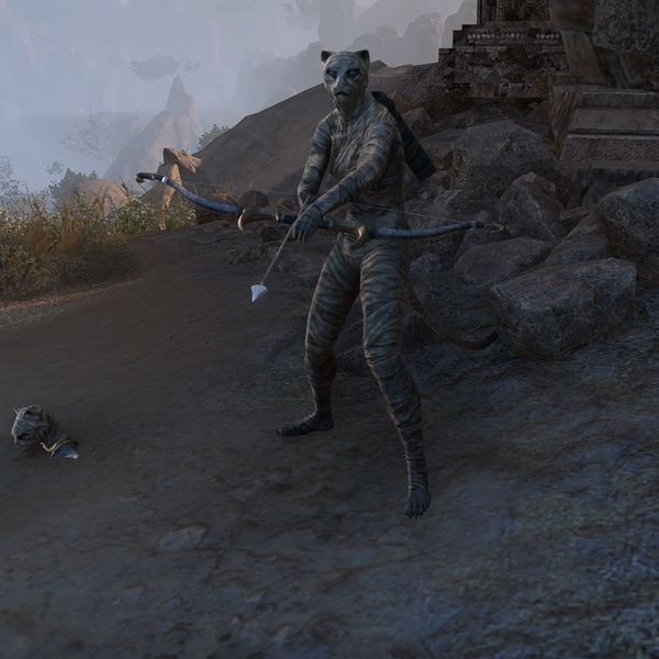 File:ON-npc-Risen Archer (Khajiit).jpg