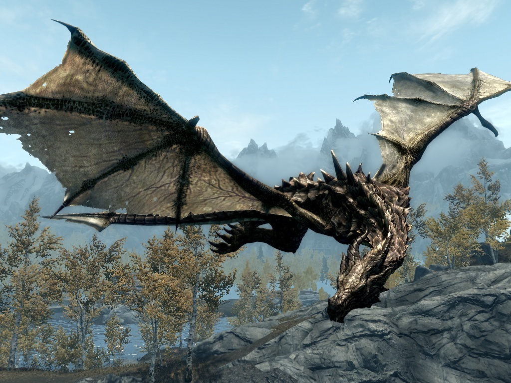 Dragon skyrim