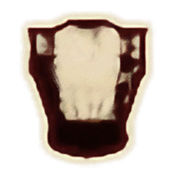OBR-icon-clothing-Shirt with Suspenders.png