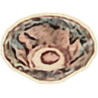 OBR-icon-dish-MiddleBowl01.png