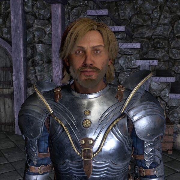File:OBR-npc-Jhared Strongblade 02.jpg