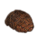 ON-icon-furnishing-Silt Strider Shell, Hollow.png