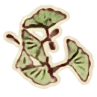 OBR-icon-ingredients-Ginkgo Leaves.png