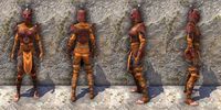 ON-item-armor-Anequina Medium Female.jpg