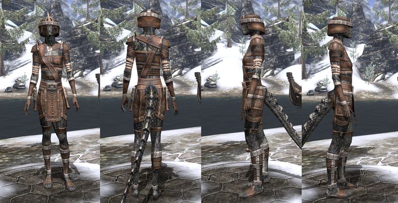 File:ON-item-armor-Argonian Medium 1 Female.jpg