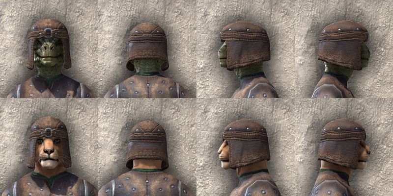 File:ON-item-armor-Orc Medium 1 Beast Races.jpg