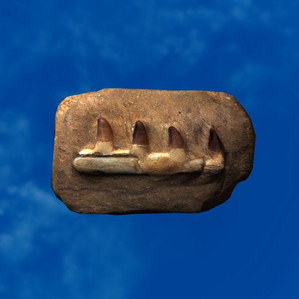 File:SRMOD-LOTD-fossil-t3-fossilized jawbone.jpg