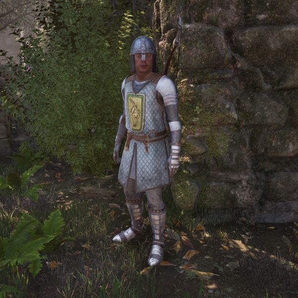 File:OBR-npc-Bravil Guard.jpg