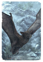 ON-card-Shadowswift Bat.png