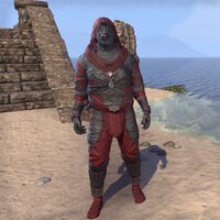 Dark Eliminator's Garb (male)