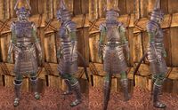 ON-item-armor-Honor Guard Heavy.jpg