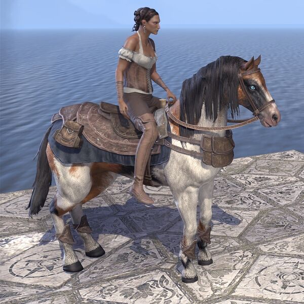 File:ON-mount-Arenthian Skewbald Horse 02.jpg