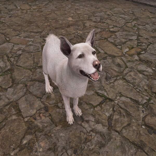 File:OBR-creature-Kezune.jpg