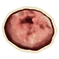 OBR-icon-ingredient-Emetic Russula Cap.png