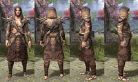 ON-item-armor-Linen-Robe-Bosmer-Male.jpg