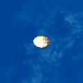 Thumbnail for version as of 01:35, 22 April 2025