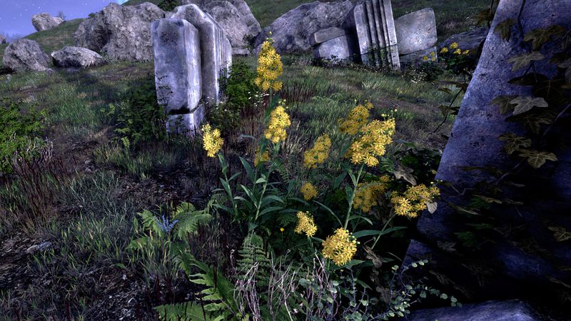 File:OBR-flora-Goldenrod.jpg