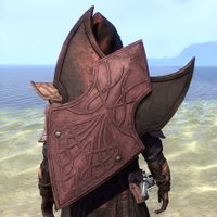 ON-item-armor-Blessed Inheritor Shield.jpg