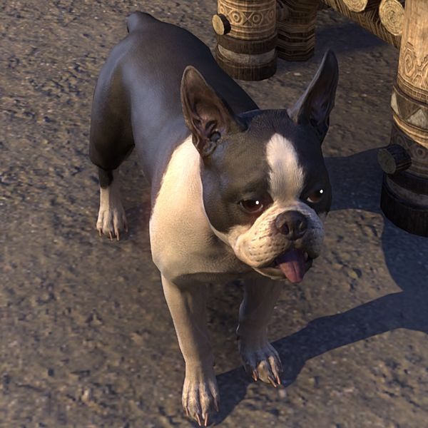 File:ON-creature-Butler.jpg