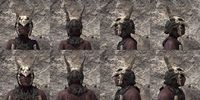 ON-item-armor-The Recollection Heavy Beast Races.jpg