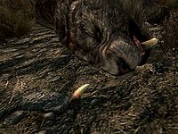 SR-ingredient-Sabre Cat Tooth.jpg