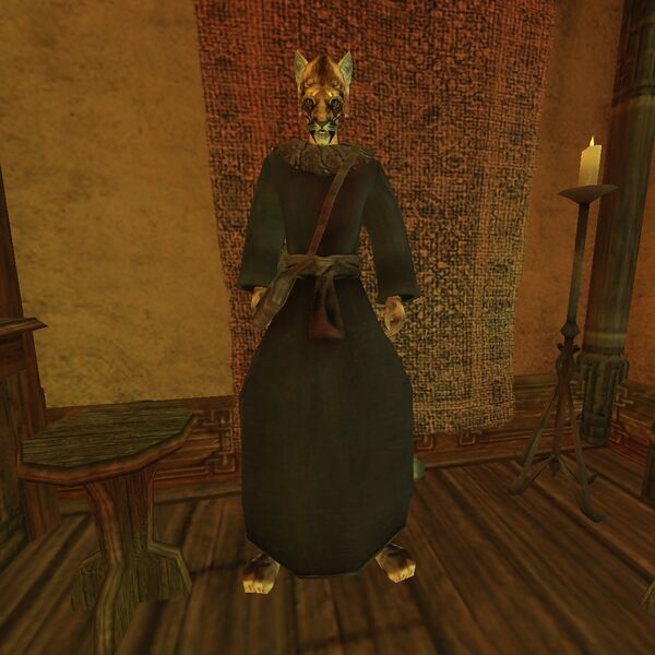 File:TR3-npc-S'rabhi.jpg