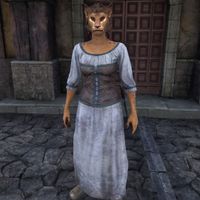 OBR-npc-Ahdarji.jpg