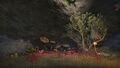 Thumbnail for version as of 03:57, 22 May 2025