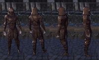 ON-item-armor-Akaviri Jerkin-Male 06.jpg
