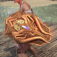 ON-item-armor-Lady Thorn Shield.jpg