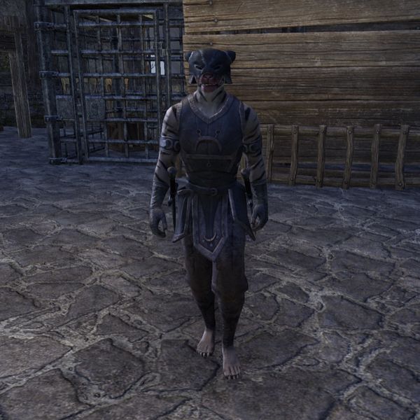 File:ON-npc-Renrijra Pirate.jpg