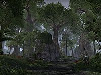 200px ON place Grahtwood
