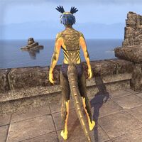 ON-skin-Blaze of Akatosh (Argonian) 03.jpg