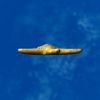 SRMOD-LOTD-tide-starfish-yellow.jpg