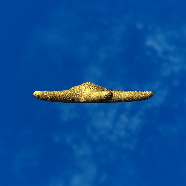File:SRMOD-LOTD-tide-starfish-yellow.jpg