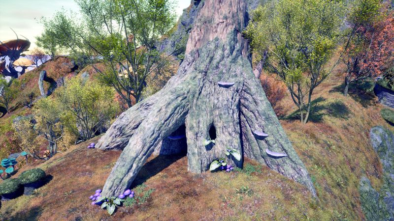 File:OBR-place-Dunroot Burrow.jpg