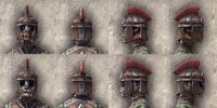 ON-item-armor-Imperial Medium 2 Beast Races.jpg
