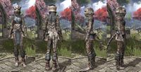 ON-item-armor-Khajiit Heavy 1 Female.jpg