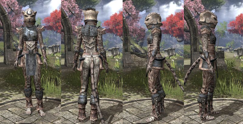 File:ON-item-armor-Khajiit Heavy 1 Female.jpg