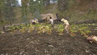 OBR-quest-The Killing Field 02.jpg
